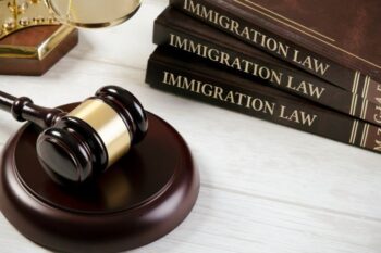immigtaion law books