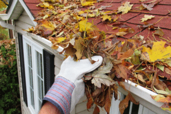 getting leaves off a roof