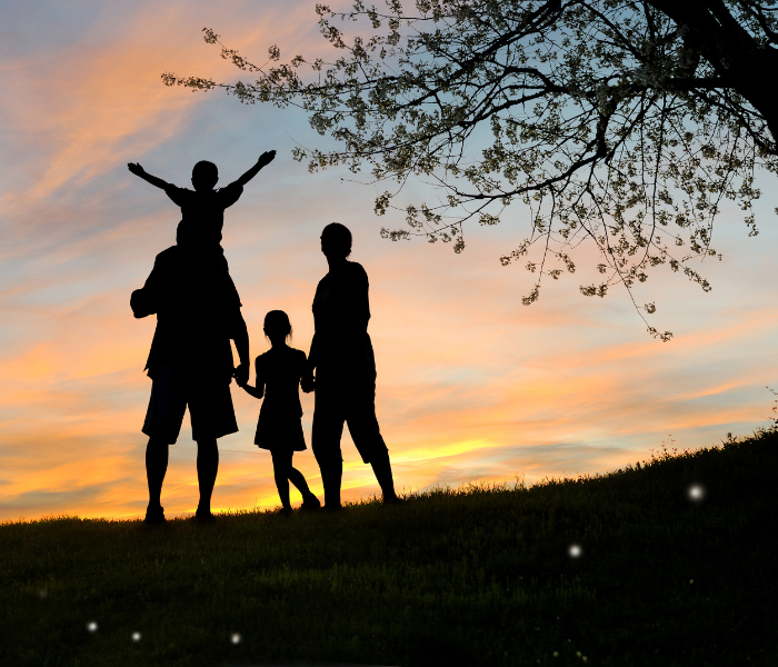 Silhouette of a family with children at sunset, capturing a joyful moment outdoors with a beautiful sky, perfect for family, outdoor, and nature-related content.
