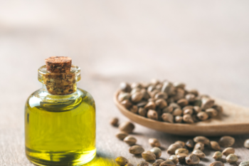 hemp seeds and hemp seed oil