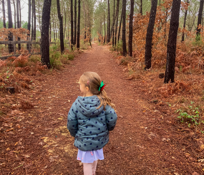 Child walking along a woodland trail surrounded by trees with fall foliage.