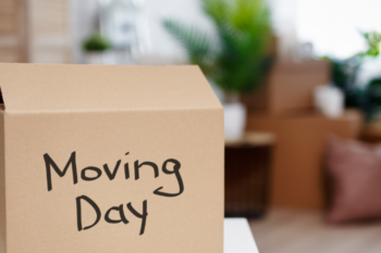 moving day box
