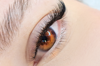lashes and brows