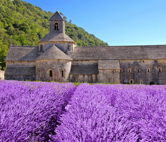 provence