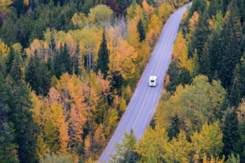 car travelling down a road with trees either side
