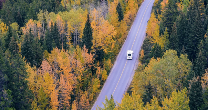 car travelling down a road with trees either side