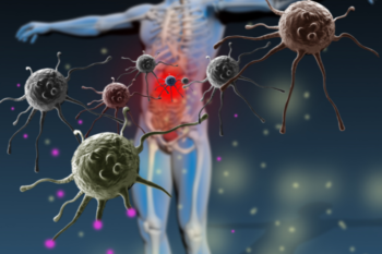immune system