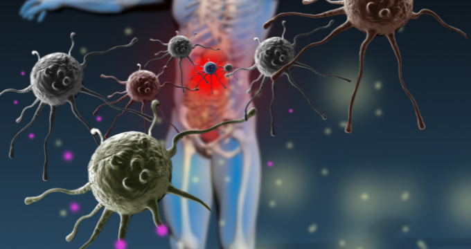 immune system